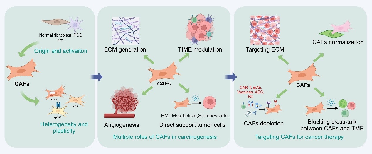 85f3cda4fe59d76f92e0dd18d0b11283_947ce.j