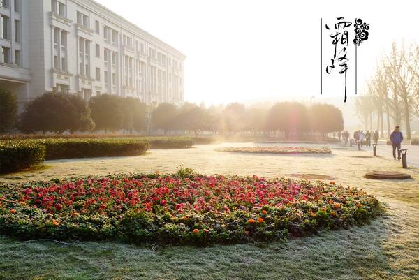 霜降.png 霜降.png