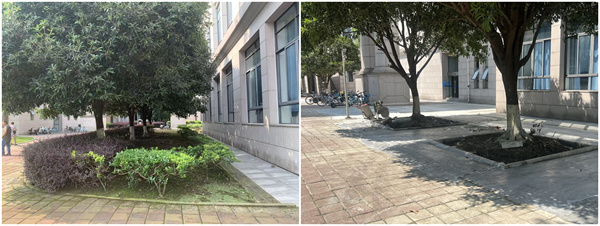 8874cf7f0dbd2936a5c22070f3150363_f0ea1.j