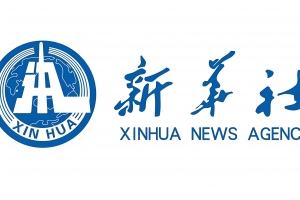 新华社：擦亮新时代党的建设“金色名片”