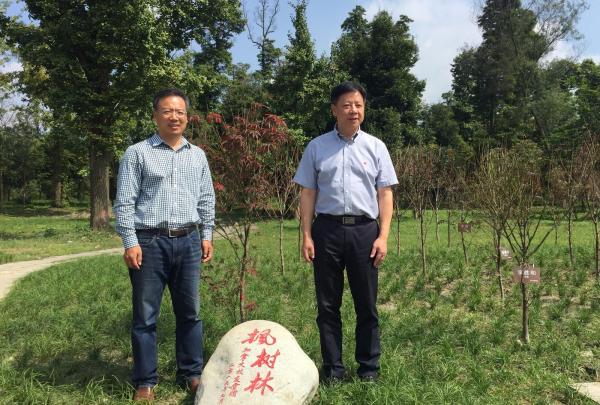 种一片情怀在成电：全球校友同赴六十华诞之约