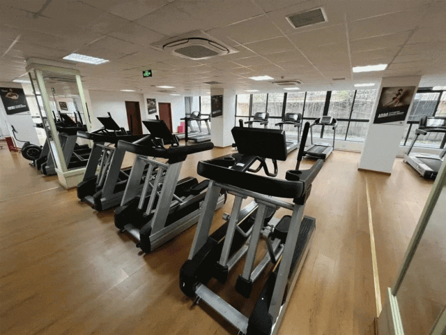 mmexport1691070141623.jpg mmexport1691070141623.jpg