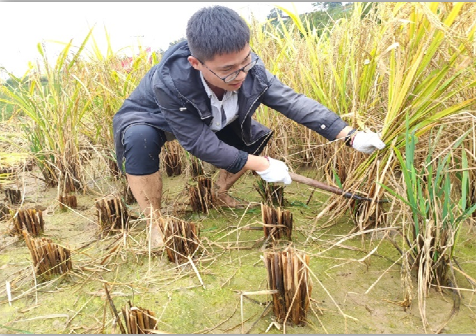 【帮扶在行动】电子科技大学启动脱贫攻坚精神系列宣讲