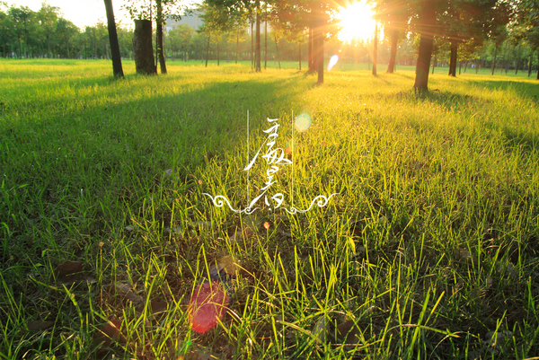 处暑.png 处暑.png