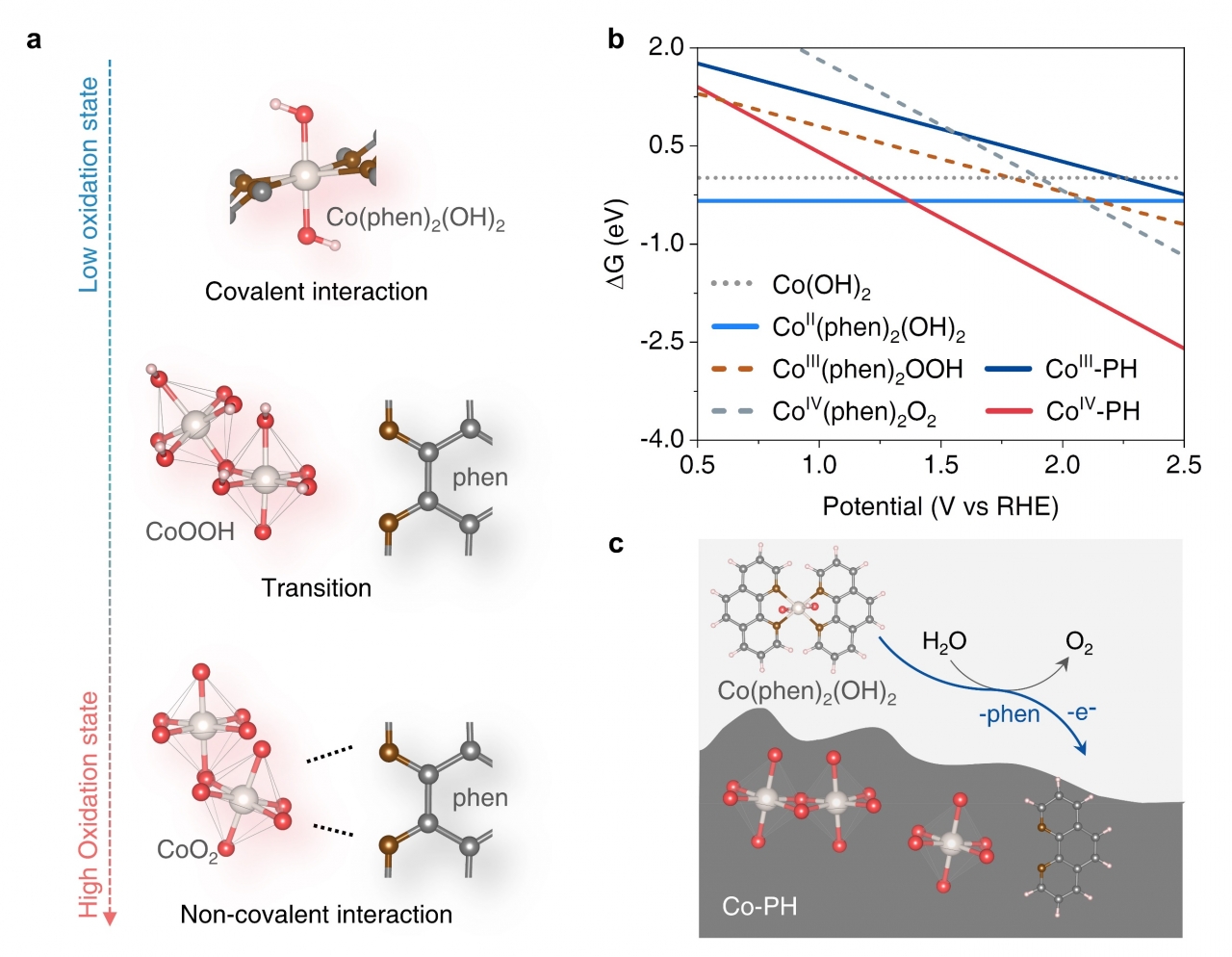 基础院崔春华教授团队在Nature Communications发表研究成果