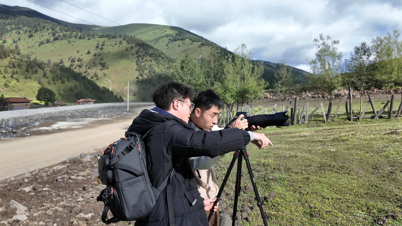 8d7d656ce2b8d8a703b6166776e24607_d3385.j