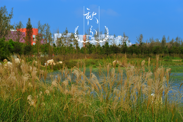 秋分.png 秋分.png