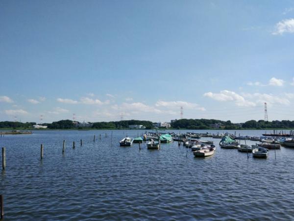 QQ图片20170307180445.jpg QQ图片20170307180445.jpg