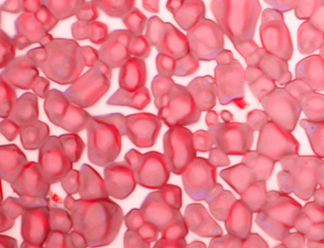 Unknown 拷贝.jpg 8edcb3400b1f2797bb8534e3268adf7f.jpg