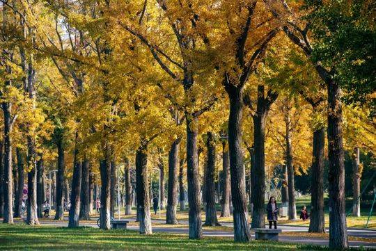 907f52cd92201def17067b35851611cb_e9d16.j