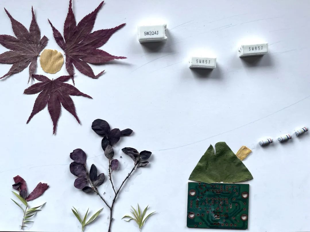 13.jpg 90cb839f3635eb4fb0fd16725a42b610.jpg