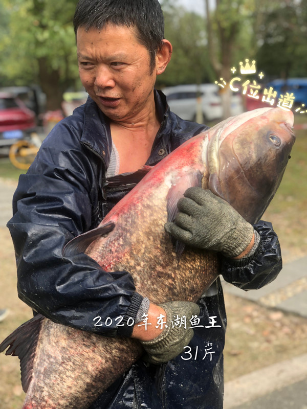 后勤保障部举行第三届东湖捕鱼节活动