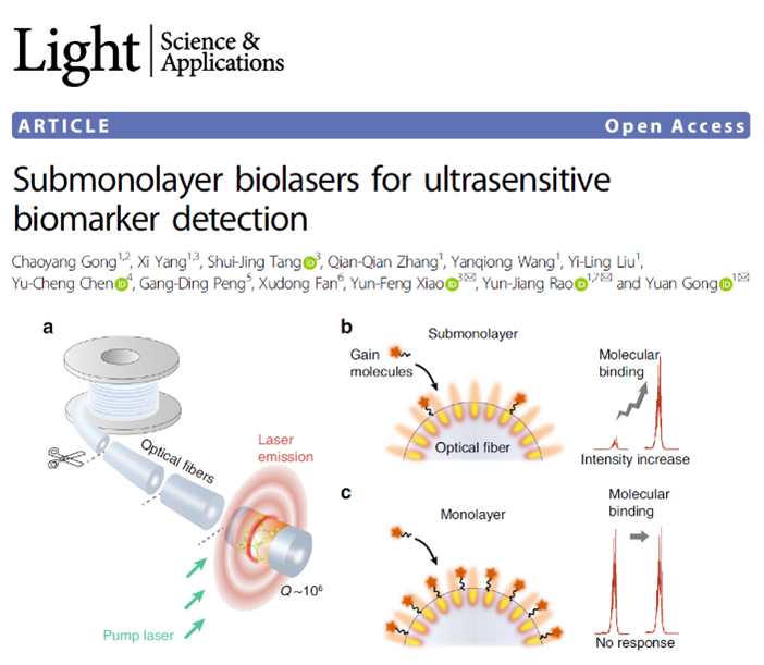 饶云江教授团队在Light发表光纤生物传感器成果