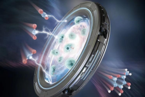 央视新闻：变废为宝！我国科学家实现二氧化碳合成葡萄糖