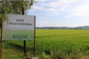 光电学子以“互联网+”助推农业转型升级