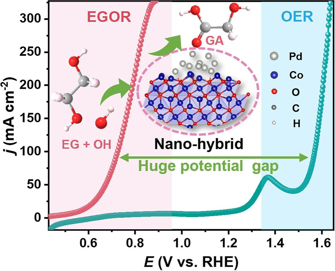 材料学院张亚刚教授团队在生物基新型功能材料领域连续取得高水平研究成果