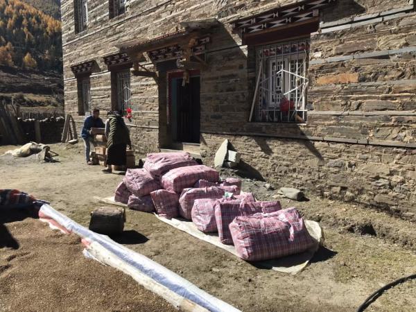 1 (11).jpg 9485a929604c3b9218d4fad49c6459e0.jpg