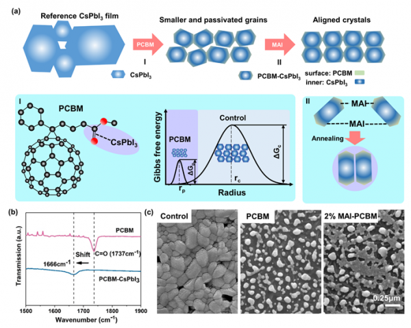 李世彬教授团队在《美国化学学会能源快报》发表研究成果