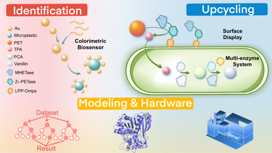 图片4.png 图片4.png