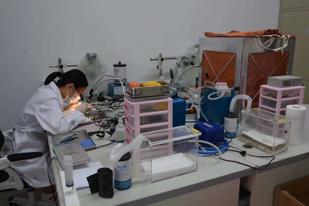 微信图片_20210518144247.jpg 974e3571f99d71412588b0f61bf1a92e.jpg