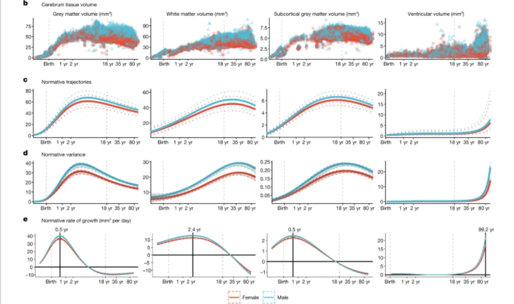 生命学院参与Nature研究成果 揭示人脑毕生发展里程碑