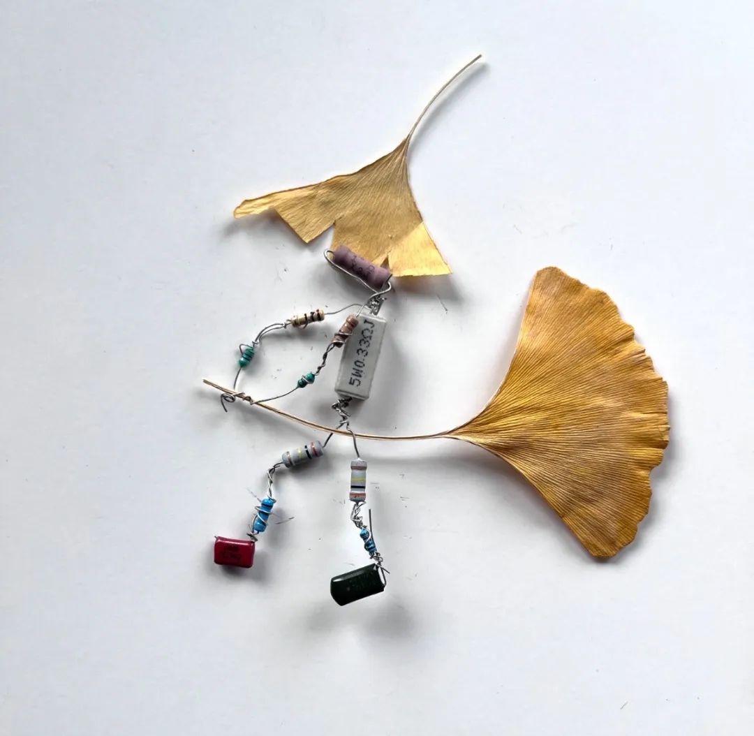 14.jpg 98ec235777b879e3ec06f86ee11e8290.jpg