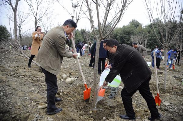 学校举行义务植树活动