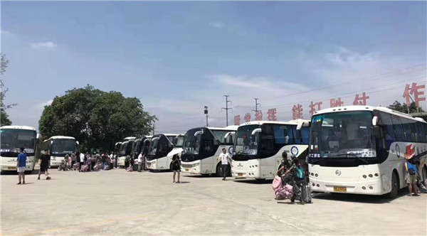 1567410496351048126.jpg 1567410496351048126.jpg