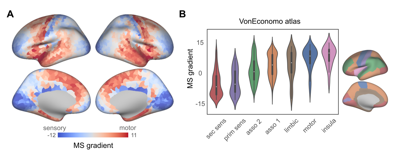 生命学院陈华富教授团队在《细胞报告》发表论文