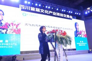 谢梅：建设西部智库  助力中国文化走向世界