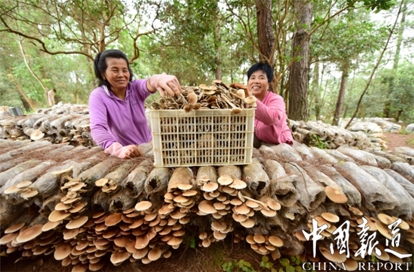 02.png 9df3071a477fd399c1702df111562d51_e8871.p