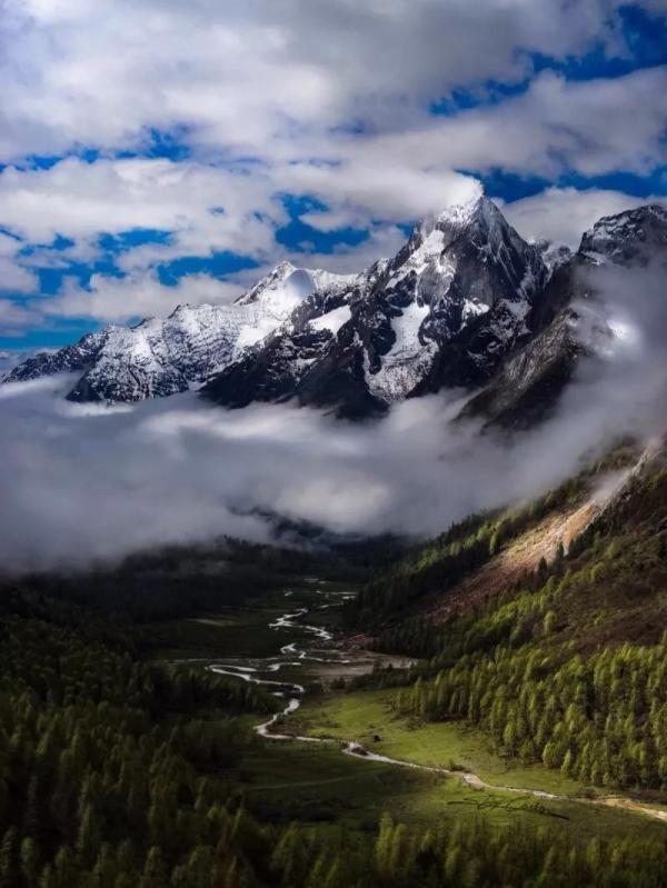 IMG_3733.JPG IMG_3733.JPG