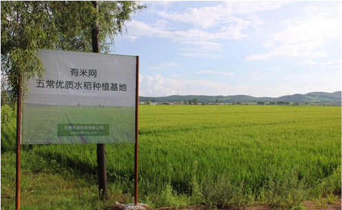 图1有米五常龙凤山稻花香大米产区.jpg