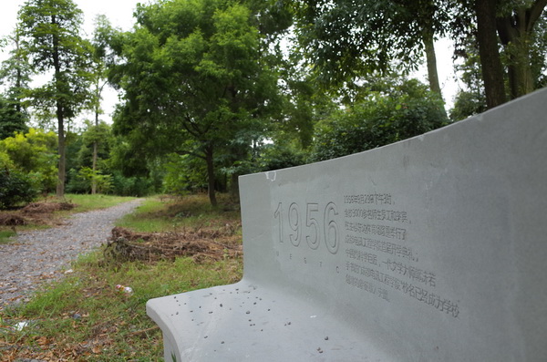 新学期新校园新面貌