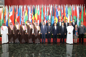 校领导参加中沙高等教育合作交流活动