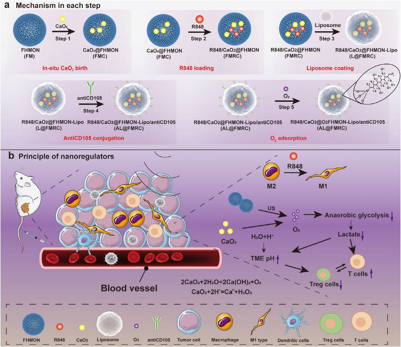 医学院张坤教授团队在Advanced Materials发表最新研究成果