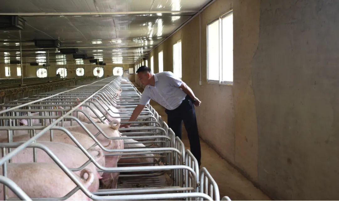 图片9.png 图片9.png