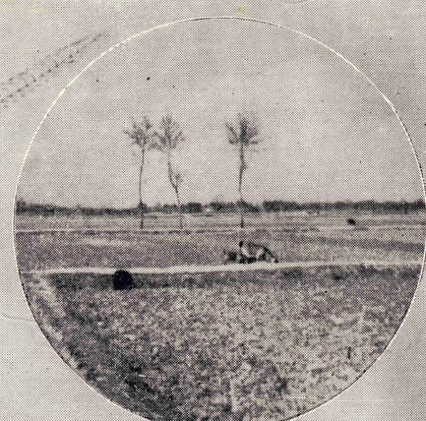 3 学校建设主楼施工之前广阔的田园.jpg 3 学校建设主楼施工之前广阔的田园.jpg