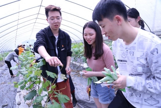 5.jpg a6337edeffbe5570fb33697b59236393_44107.j