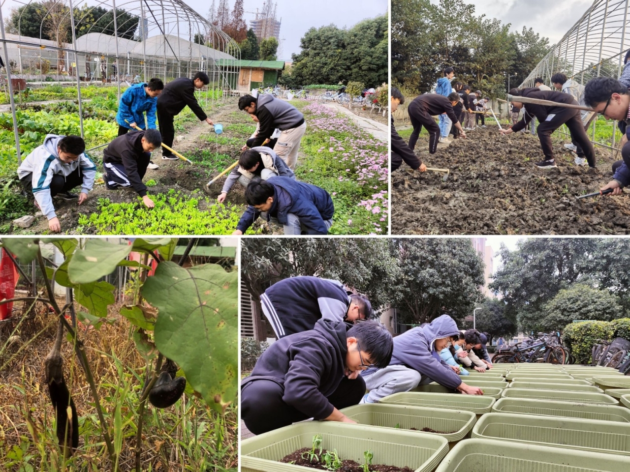 微信图片_20211220123701.jpg 微信图片_20211220123701.jpg