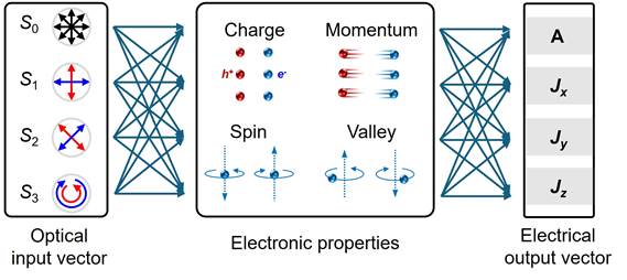 光电学院魏静轩教授、刘永教授团队在Chemical Reviews发表综述