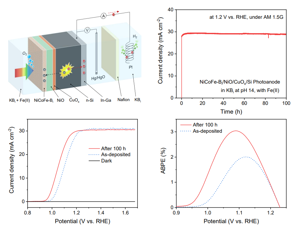 基础院李严波教授团队在Nature Communications发表研究成果