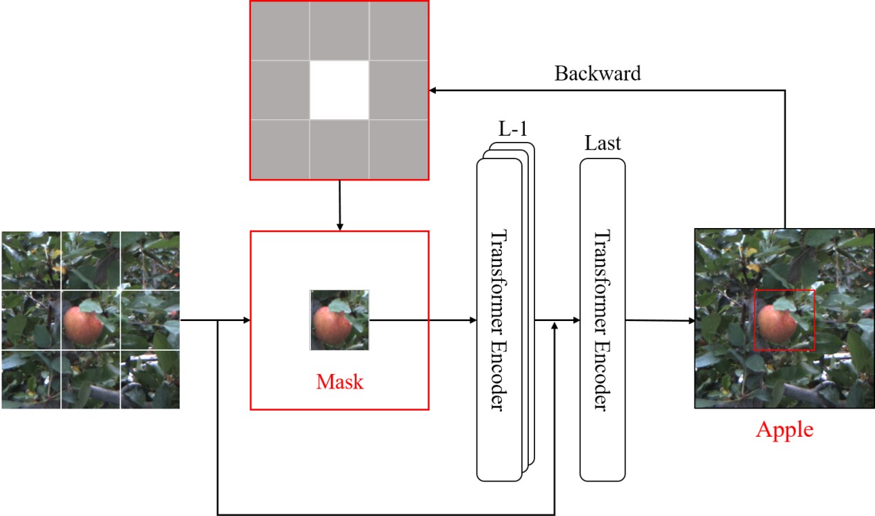 生命学院neuSCAN团队在《IEEE神经网络与学习系统汇刊》发表最新研究成果