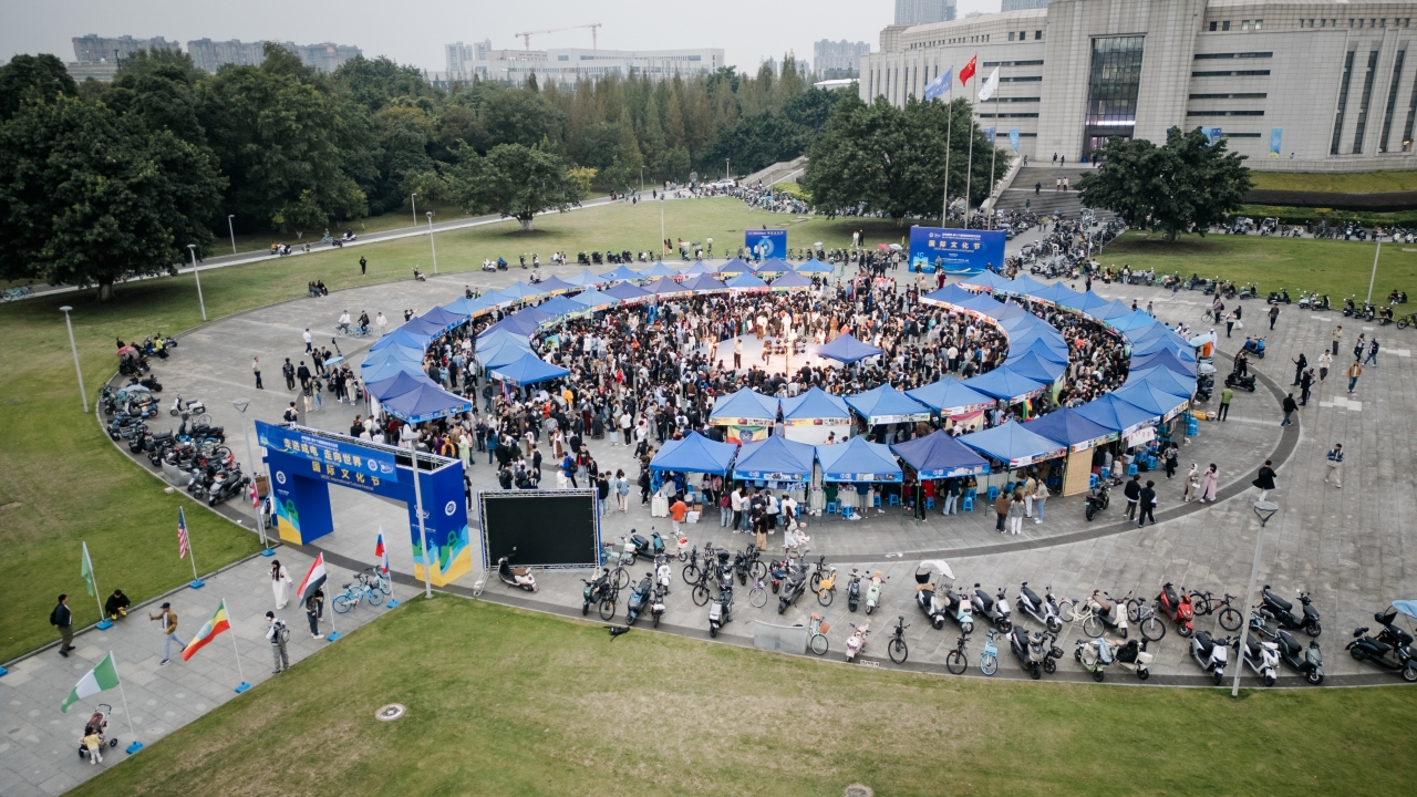 国际文化节全景.jpg 国际文化节全景.jpg