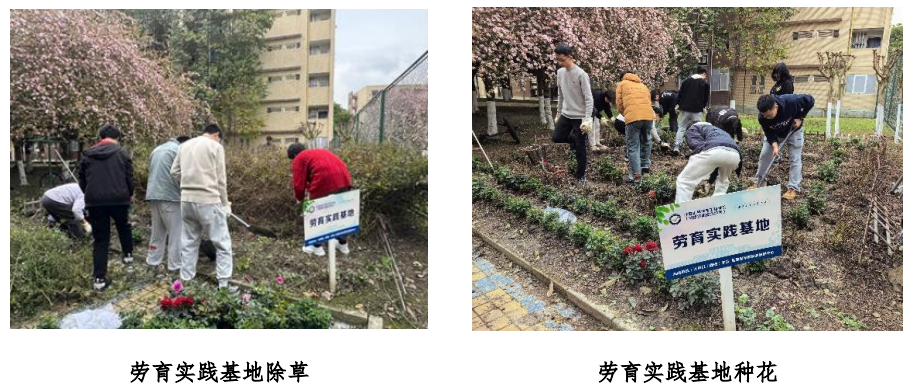 【三全育人】计算机（网安）学院“计望未来”“一站式”学生社区： 五育并举育新人，多元协同谱新篇