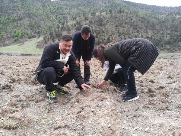 1 (39).jpg 1 (39).jpg