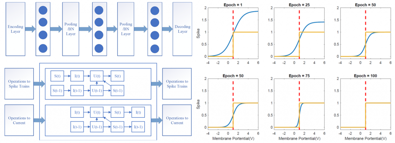 计算机学院计算智能团队连续发表多项类脑计算相关研究成果