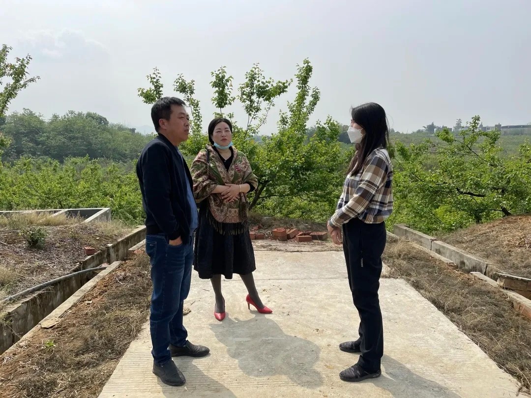 mmexport1649935524082.jpg mmexport1649935524082.jpg