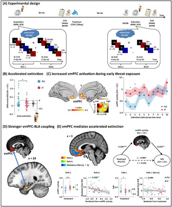 生命学院neuSCAN团队在Biological Psychiatry发表研究成果