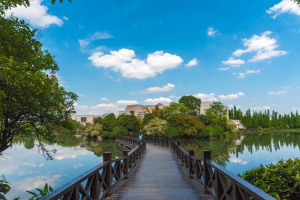 DSC_3459.jpg af6caac3d582560da87f3adca1336811.jpg